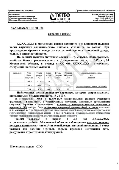 Образец справки о погоде